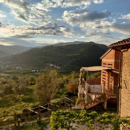 Agriturismo La Fontaccia Rufina Exteriör bild