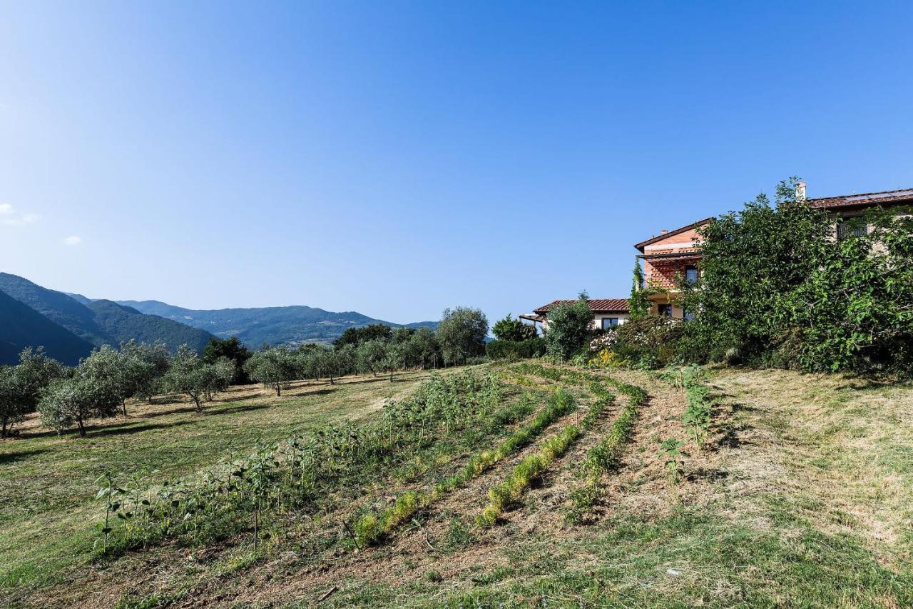 Agriturismo La Fontaccia Rufina Exteriör bild