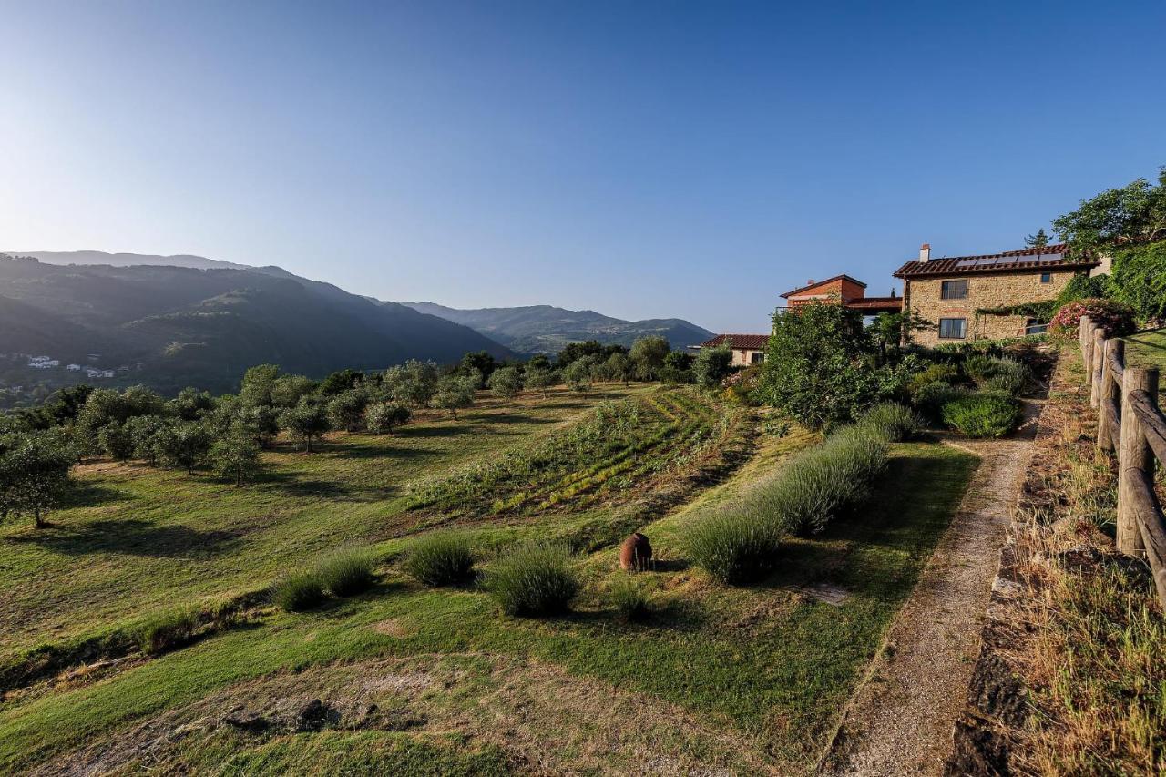 Agriturismo La Fontaccia Rufina Exteriör bild