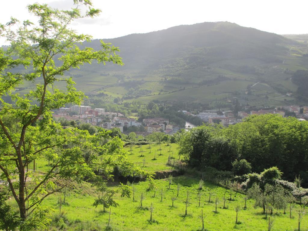 Agriturismo La Fontaccia Rufina Exteriör bild