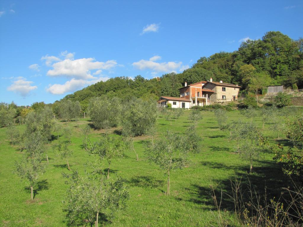 Agriturismo La Fontaccia Rufina Exteriör bild