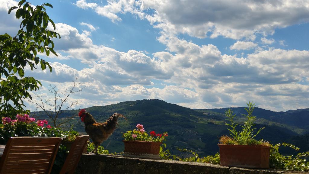 Agriturismo La Fontaccia Rufina Exteriör bild
