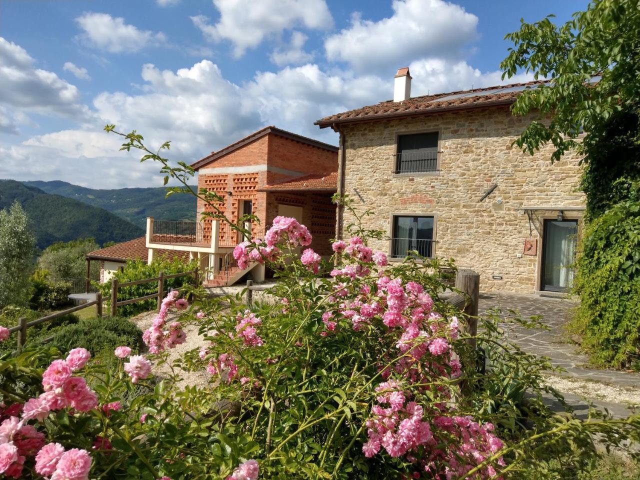 Agriturismo La Fontaccia Rufina Exteriör bild
